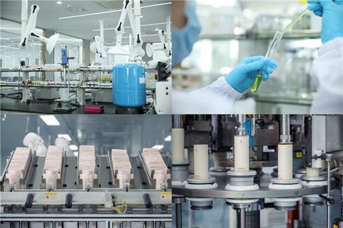 袋鼠媽媽天然國(guó)度 以創(chuàng)新服務(wù)與尖端技術(shù)，鑄就母嬰行業(yè)領(lǐng)導(dǎo)品牌