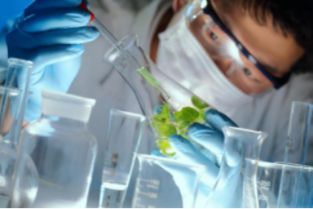 重慶市生物技術研究所 草本營養產品的科學引擎